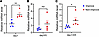 qPCR analysis of hsa-miR-7111-3p expression in patient CSF exosomes.