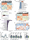 Transcriptomics and proteomics analyses indicate that OXPHOS is upregulated