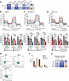 RPT04402 combined with venetoclax and azacitidine disrupts OXPHOS and overc
