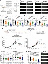 RPT04402 improves the response to venetoclax-azacitidine therapy in resista
