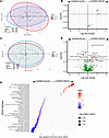 Differences in plasma proteins and metabolome between PWH at low or high ri
