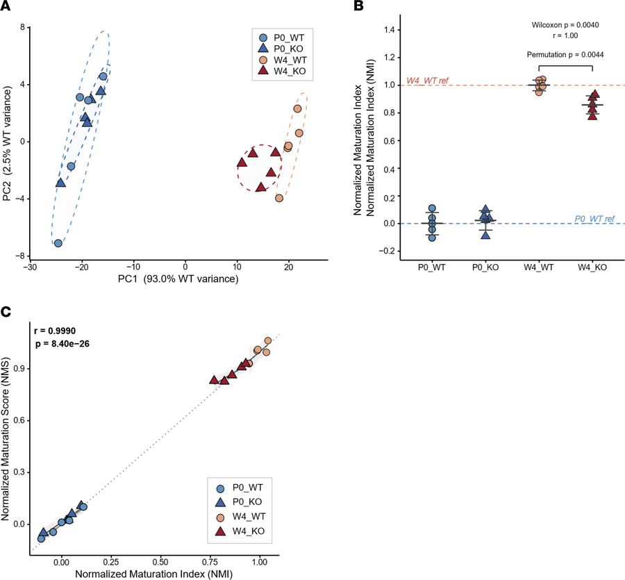Transcriptomic analysis shows molecular signature of attenuated postnata...