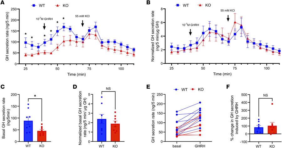 GH secretion in the basal and GHRH-stimulated states in pituitaries of 5...