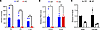 Snord116 is expressed in the mouse pituitary throughout life and in both po