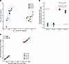 Transcriptomic analysis shows molecular signature of attenuated postnatal p