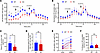 GH secretion in the basal and GHRH-stimulated states in pituitaries of 5-we