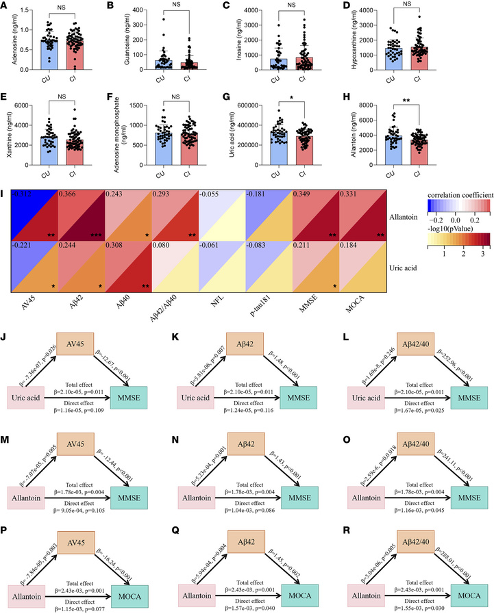 The difference in purine metabolism profile in the ADIMIC and their corr...
