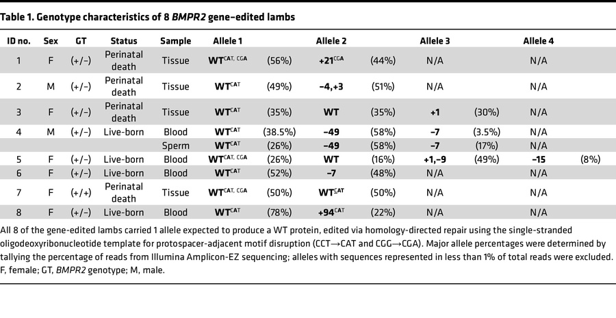 Genotype characteristics of 8 BMPR2 gene–edited lambs