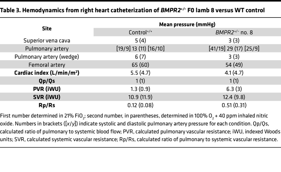 Hemodynamics from right heart catheterization of BMPR2+/– F0 lamb 8 vers...