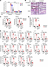 Expression of NK1R in keratinocytes is required for the skin inflammatory e