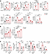 SP-NK1R signaling increases transcripts for proteins of the NLRP3 inflammas