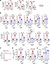 SarSP stimulates intracellular signaling pathways involved in synthesis of