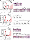 TNF-α and IL-1β restore the innate and adaptive immune response of DNCB CHS
