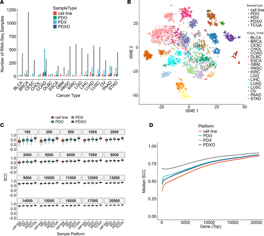 Pancancer analysis of different preclinical models and tumor samples.
(A...