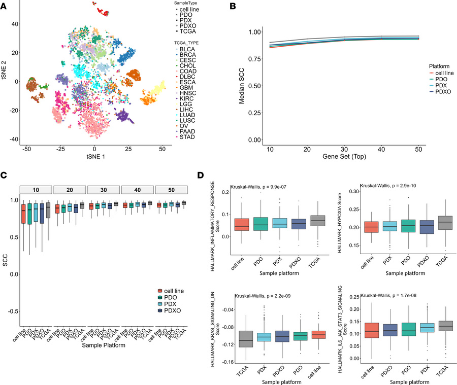 Functional transcriptomic landscape and pathway enrichment similarity.
(...