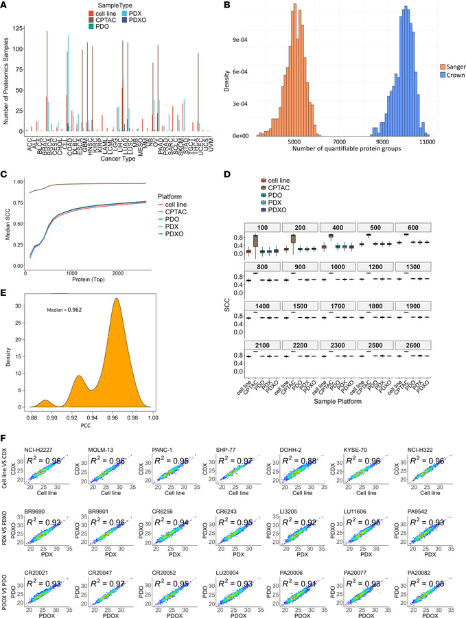 Pancancer proteomics analysis of different preclinical models.
(A) Numbe...