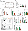 CXCR4-CXCL12 interactions are required for effective NK cell differentiatio