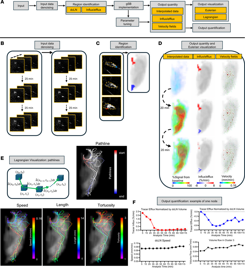 Computational pipeline for gSB analysis of dcLN DCE-MRI data.
(A) Flowch...