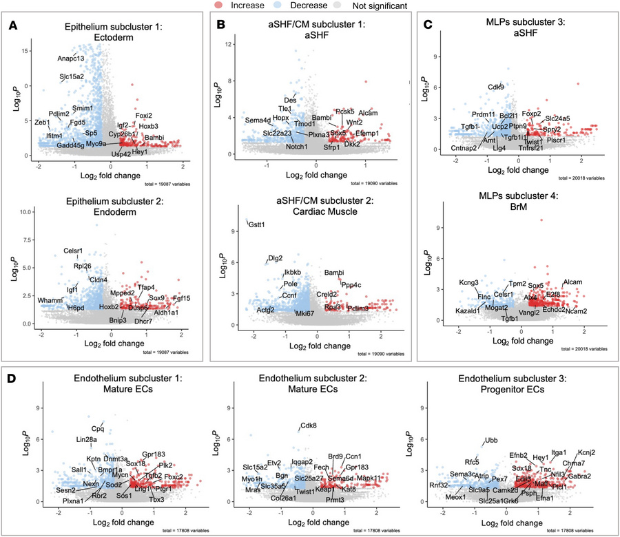 Volcano plots from scRNA-seq show gene expression changes in cHet versus...