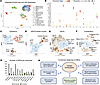 Single-cell RNA sequencing of cHet versus cKO embryos at E9.5 identifies di