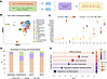 Comparison of the transcriptome from Kmt2d and Tbx1 datasets at E9.5.