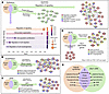 Kmt2d and Tbx1 have shared and separate functions in the Tbx1 lineage at E9