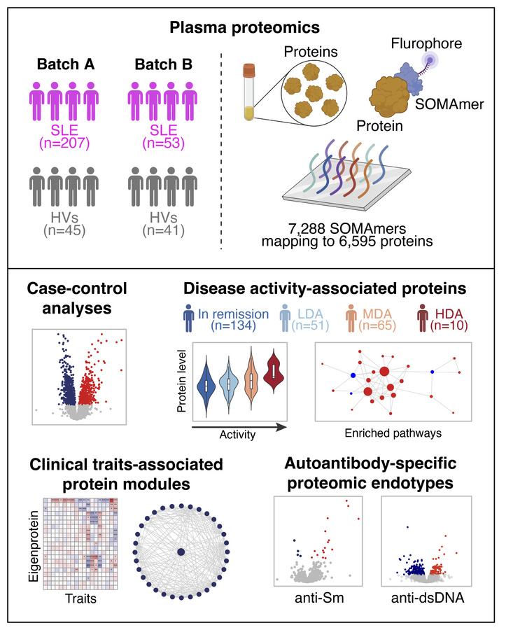 graphical abstract