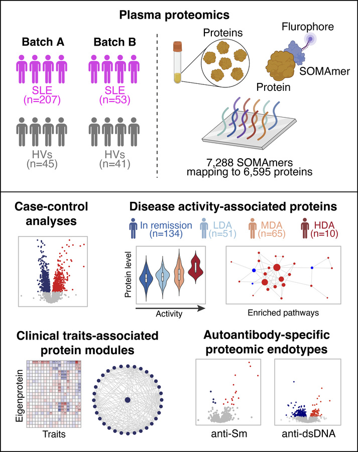 graphical abstract