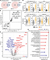 Differentially abundant proteins and enriched pathways in SLE versus HVs.