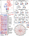 Proteins associated with SLE disease activity.