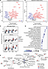 Proteins associated with anti-Sm autoantibodies.