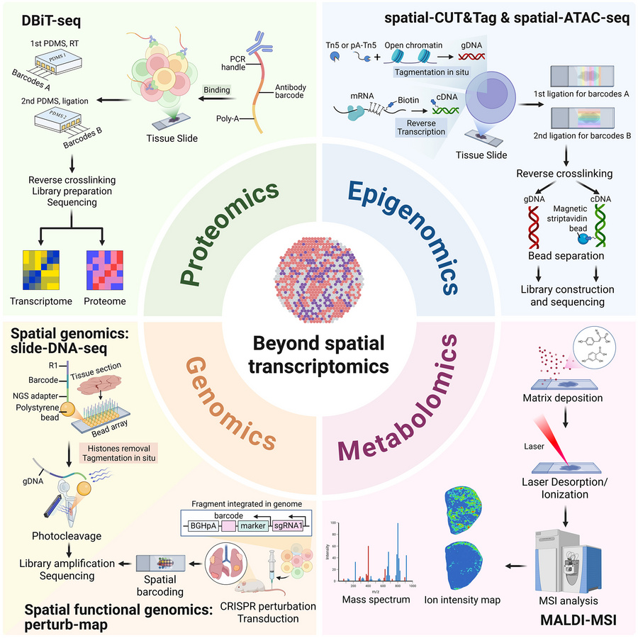 Representative spatial omics technologies for non-transcriptome modaliti...