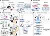 Principles of spatial omics technologies.
