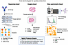 Core technologies for spatial proteomics.
