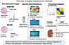 Overview of spatial metabolomics methods.