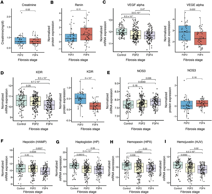 Circulatory dysfunction and altered iron regulatory proteins are associa...