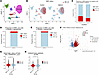 Human MASLD livers are enriched with Smo-deficient hepatocytes that exhibit