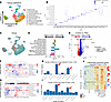 Analyses of scRNA-seq data from the nephron.