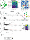 Model-level analysis of cluster abundance and DEGs.