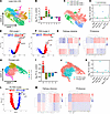 PKD-enriched clusters across mouse models.