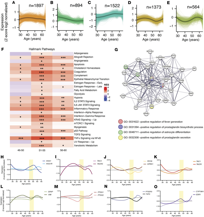 Gene expression trajectories and pathway analysis in the human female hy...