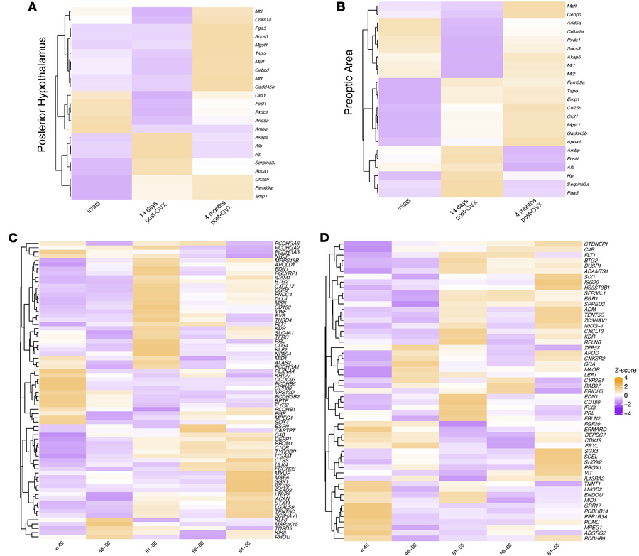 Cross-species expression of DEGs.
(A and B) Expression of identified DEG...