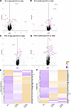 Differential gene expression in the post-OVX mouse hypothalamus.