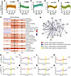 Gene expression trajectories and pathway analysis in the human female hypot