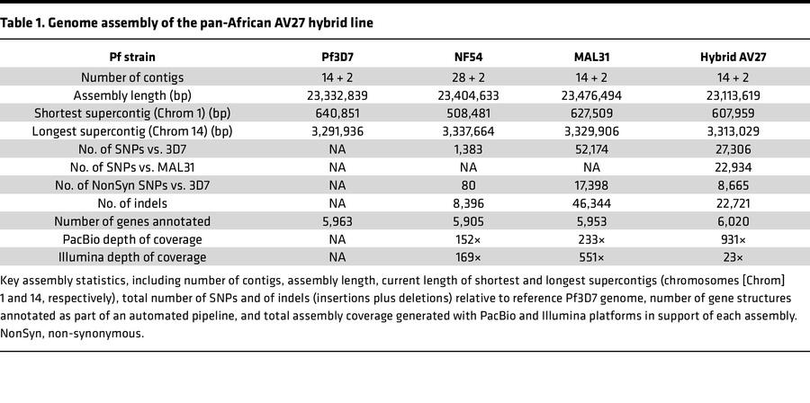 Genome assembly of the pan-African AV27 hybrid line