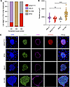 Liver-stage infectivity and growth of Pf NF54, MAL31, and HL1209 in the hum
