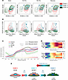 Derivation of TAGLN+ expanded FAEC from reduced EC clusters through acquisi
