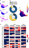 Characterization of EC identity and plasticity markers in fibrogenesis.