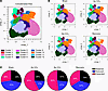 Mapping EC proteomic changes in response to CCl4-induced liver fibrosis and