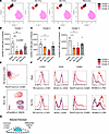 Phenotyping the characteristics of reduced EC subpopulations by FSFC.